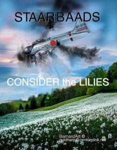 1 staarbaads consider the lilies